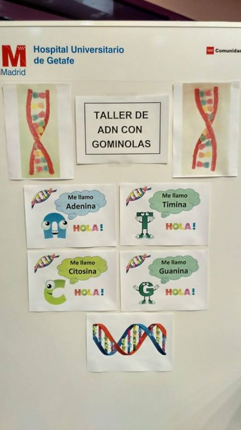 14915144_719289861560446_515885562871483683_n