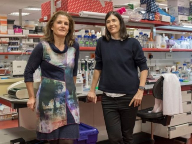 th_b4ad7bd0e72f1f1901536d6d4f1312d8_m.blasco.paula_.M