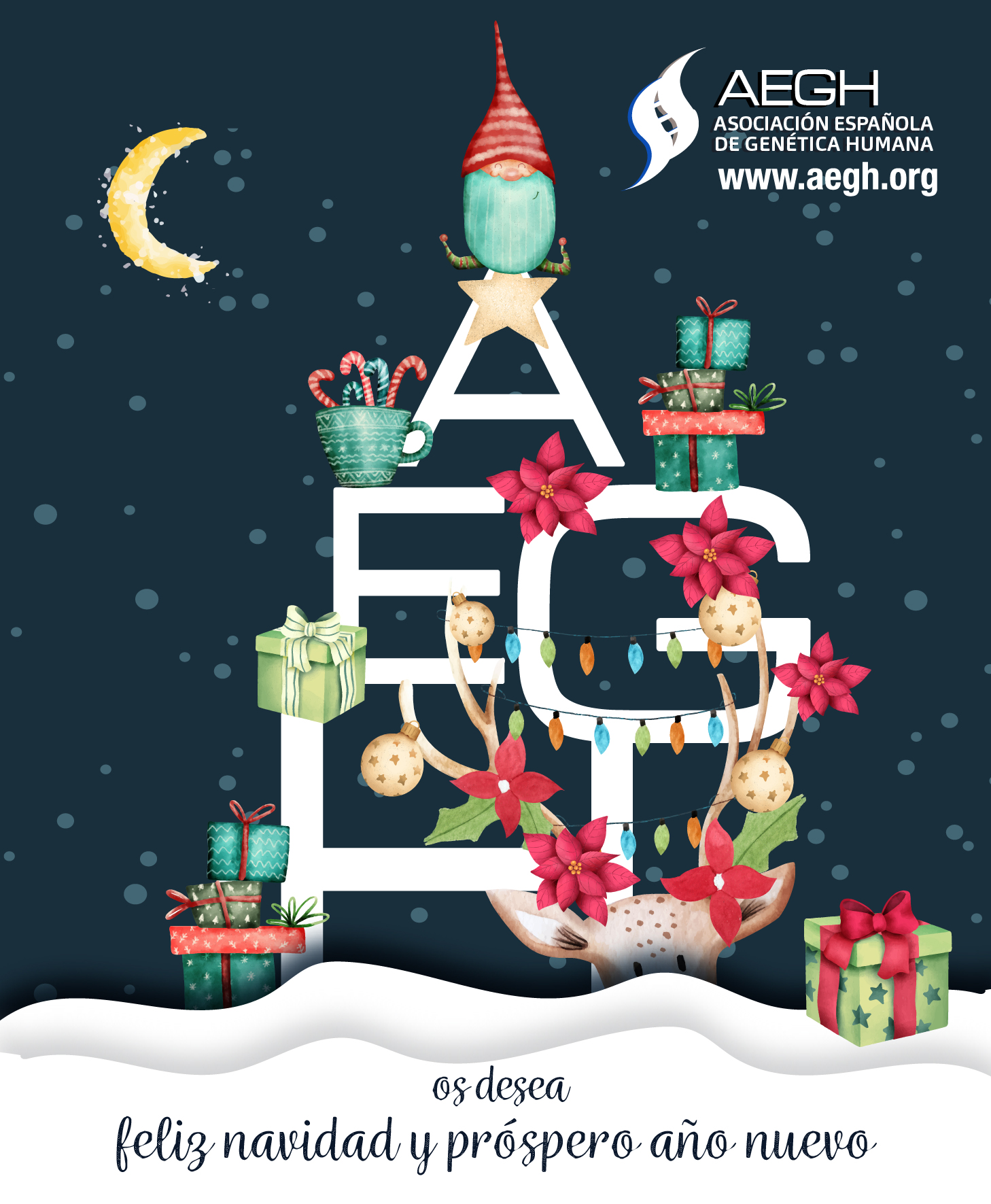 navidad_AEGH2019-01