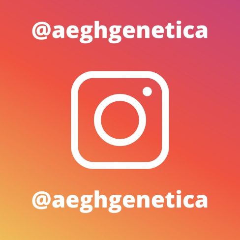 @aeghgenetica