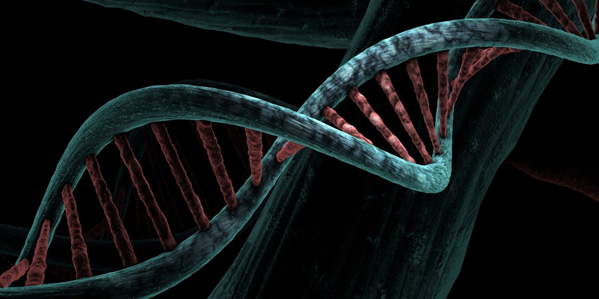 dna-g218f2498c_1920