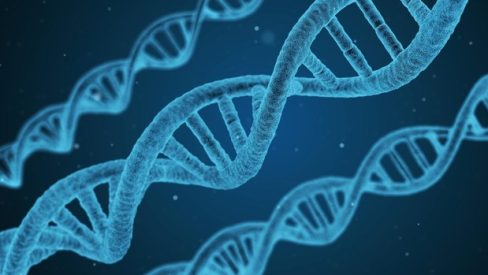dna-1811955_1920-kiOC–620×349@abc
