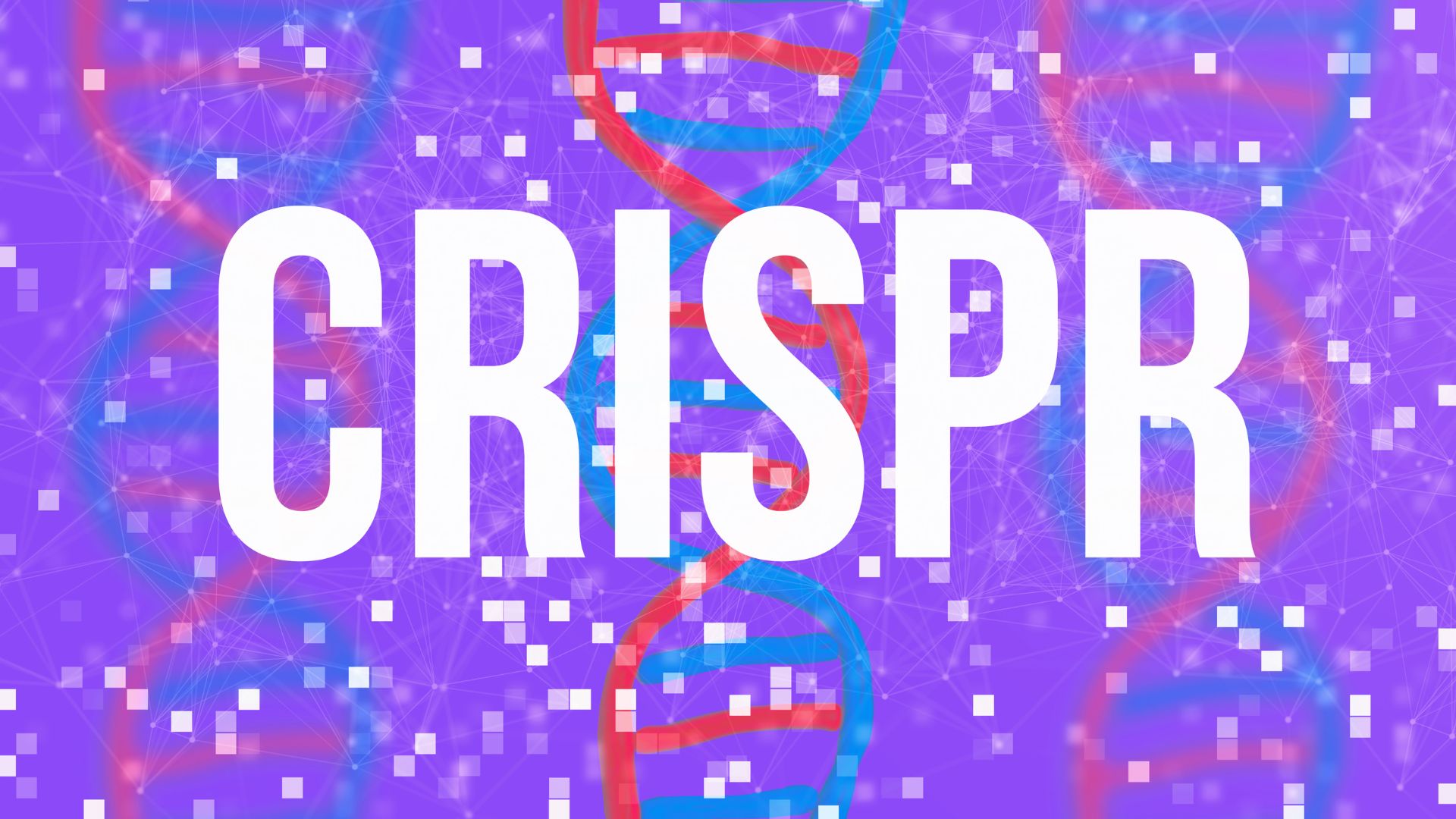 Diseño sin título-2